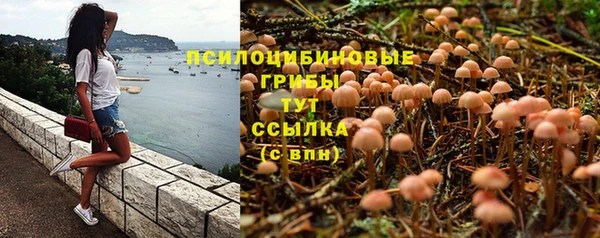 таблы Карпинск