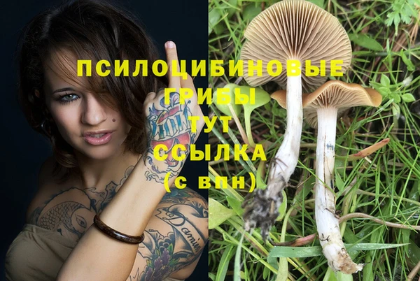 таблы Карпинск